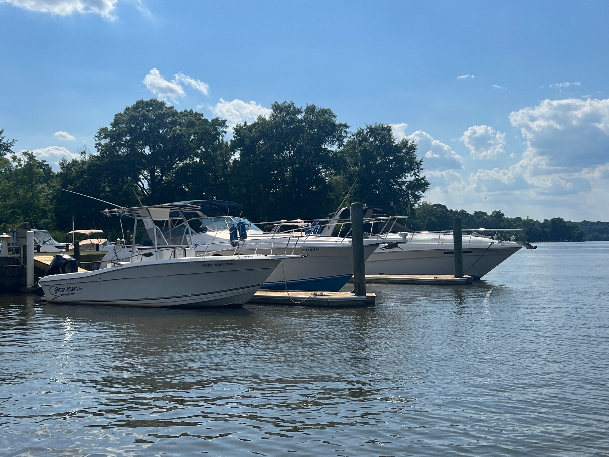 Marina dock with boats in slips on the Chesapeake Bay